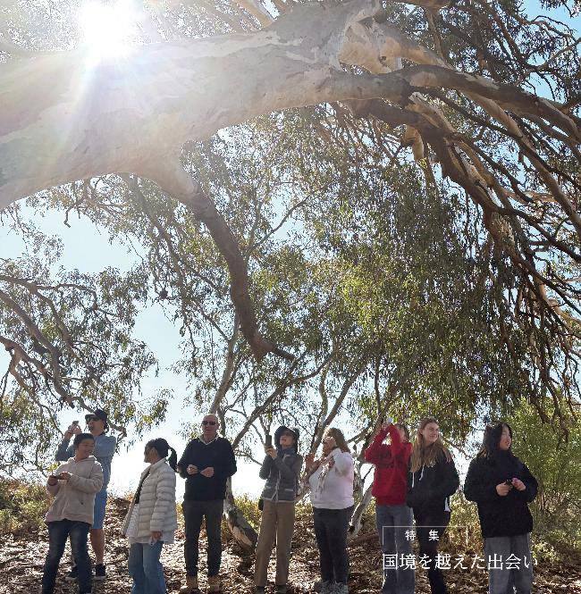 令和7年11月号広報