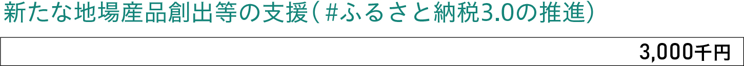 新たな地場産品創出等の支援(ふるさと納税3.0の推進)、3,000,000円
