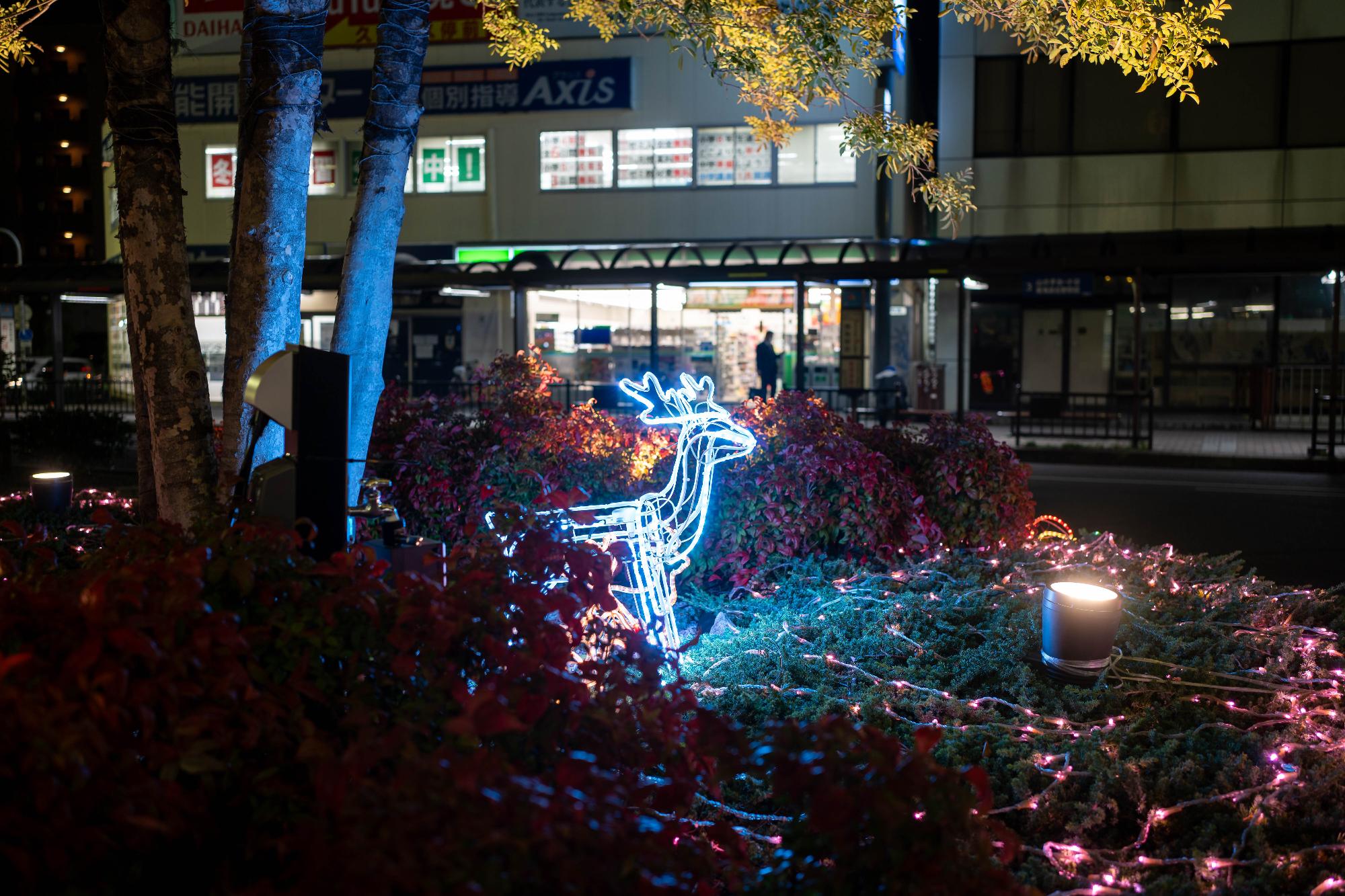 クリスマスイルミネーションの様子