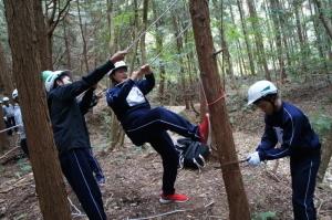 林の中の木に、巻き付けたロープを2人で引っ張って、木の幹の下の方を一人の生徒が切っている様子の写真)