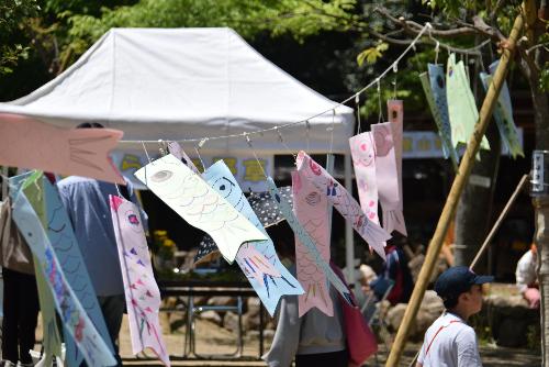 鯉のぼりが風にはためく様子