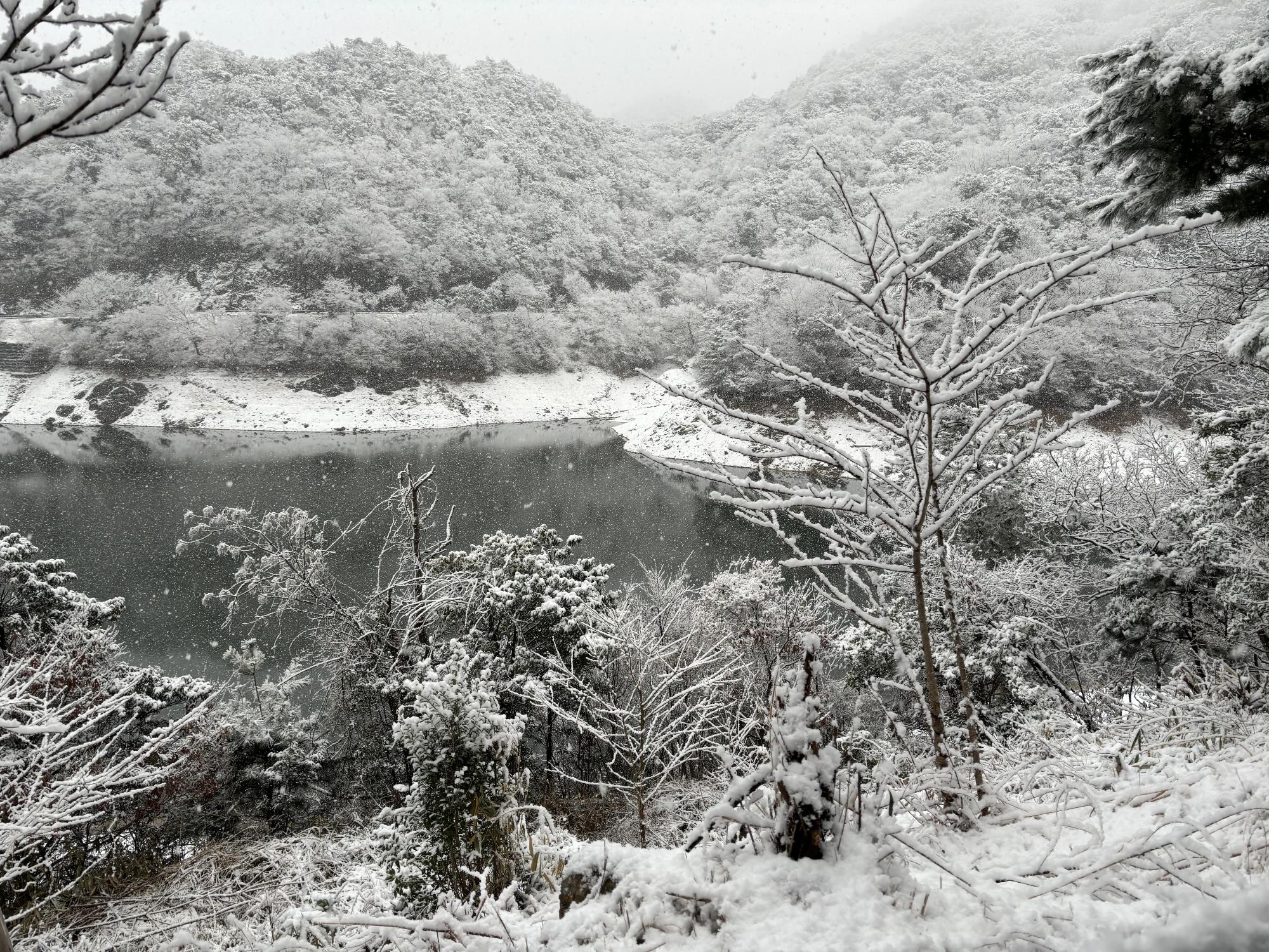 永楽ダムの冬の風景