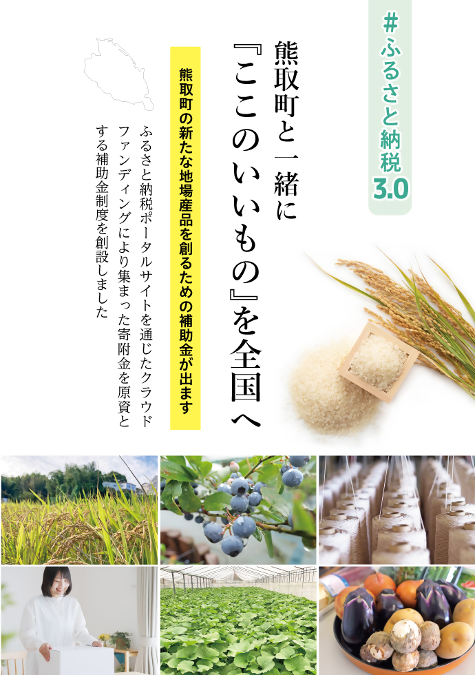 ふるさと納税3.0