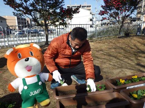 プランターに花植えする町長の写真