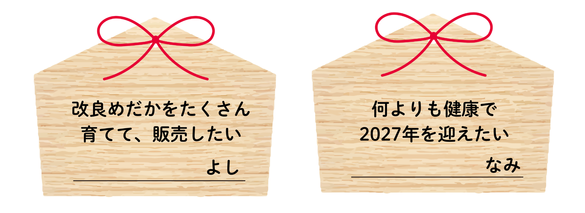 抱負を書いた絵馬