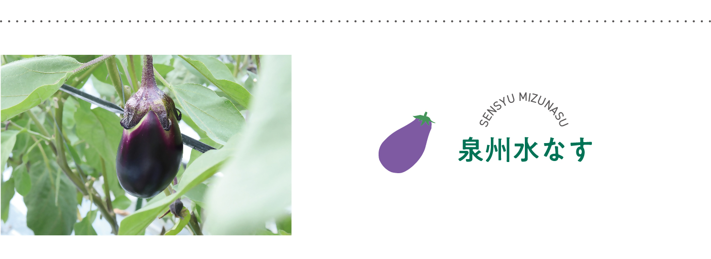 泉州水なす