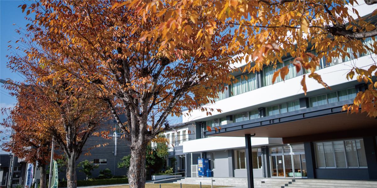 熊取町公民館前の紅葉