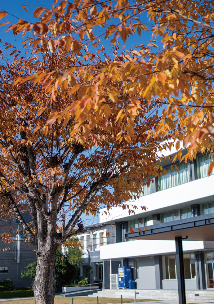 熊取町公民館前の紅葉