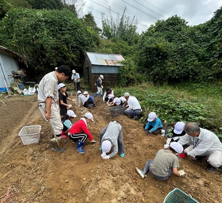 南小学校の芋掘り