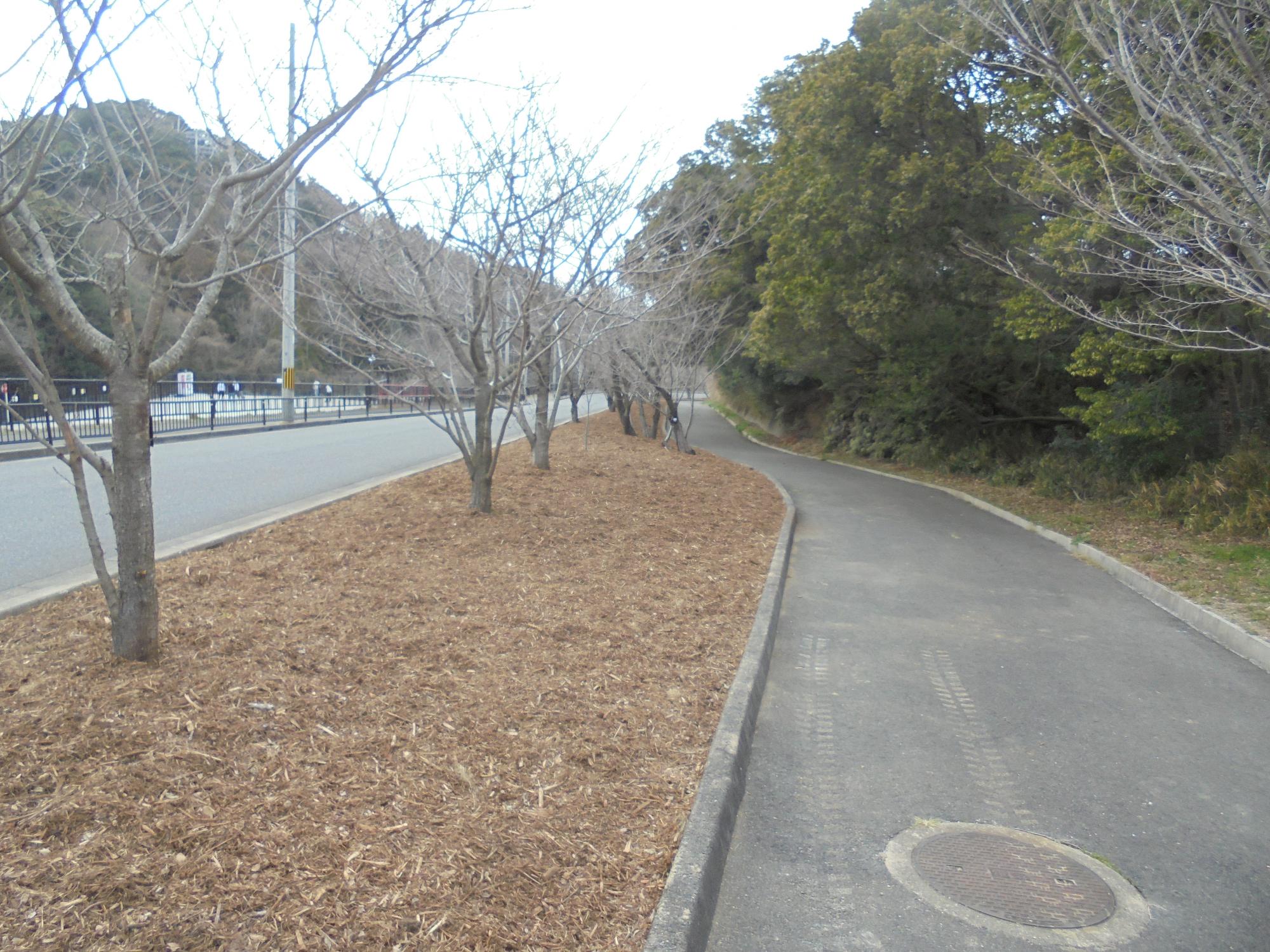 令和3年度永楽桜保存会実績資料4