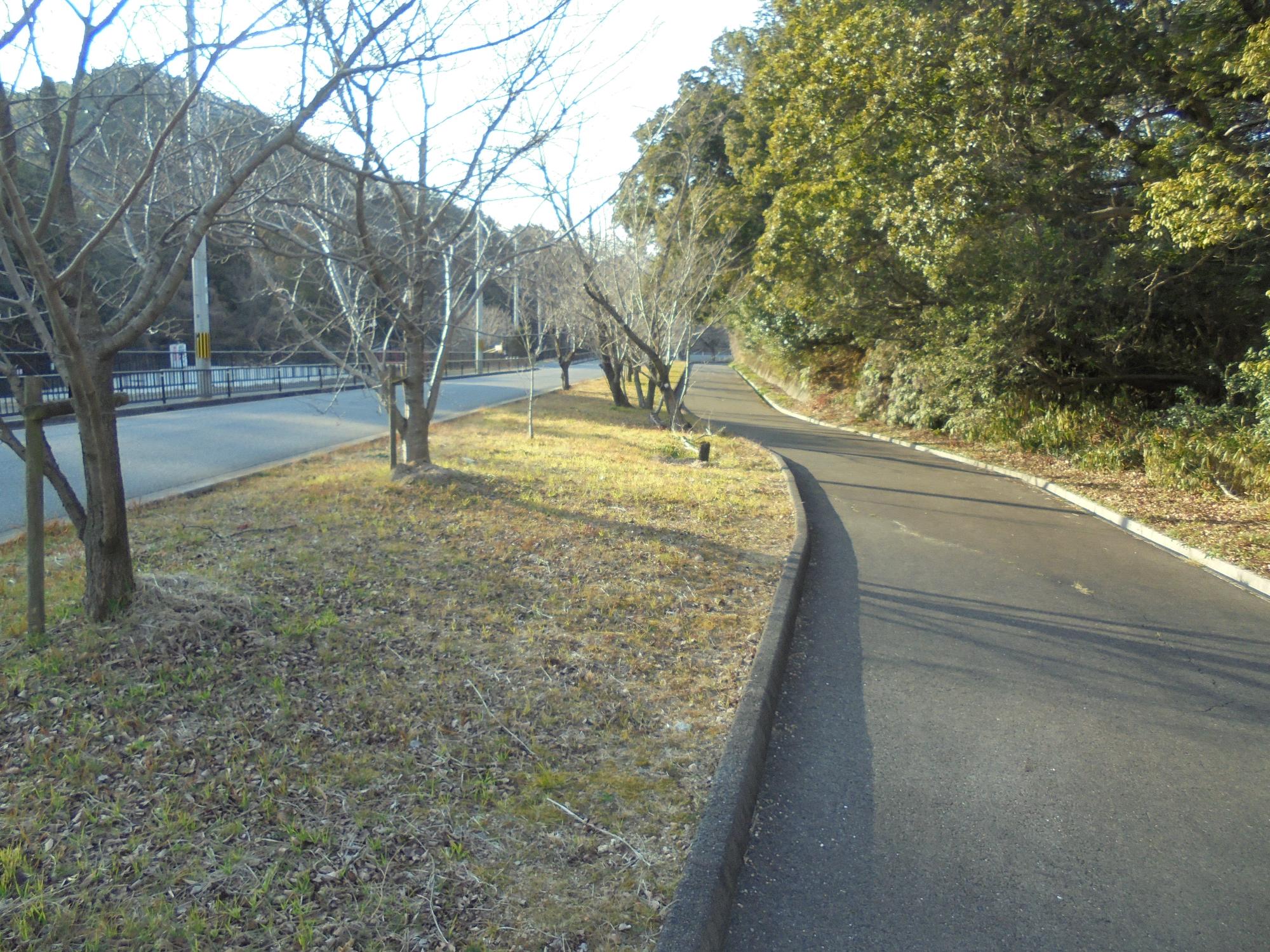 令和3年度永楽桜保存会実績資料3