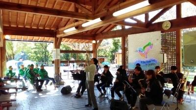 おおさか山の日で演奏をしている大阪観光大学吹奏楽部の方がを写した写真