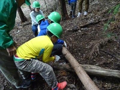 緑色のヘルメットをつけた4名の子ども達が男性スタッフの指導のもと、3名が長い木材を押さえ手前の男の子がのこぎりで切っている山の日イベントの様子の写真
