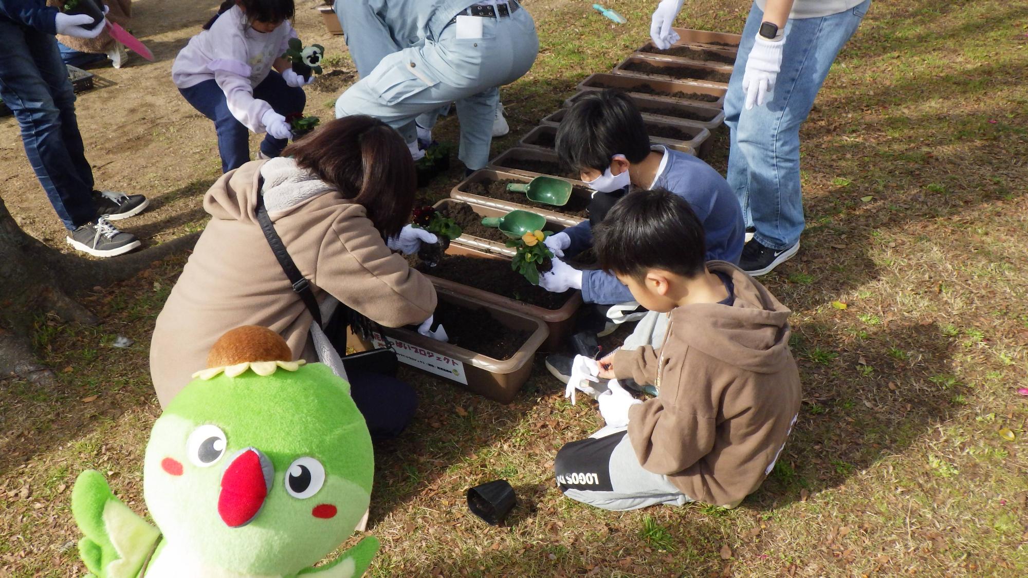 花いっぱいプロジェクトの様子