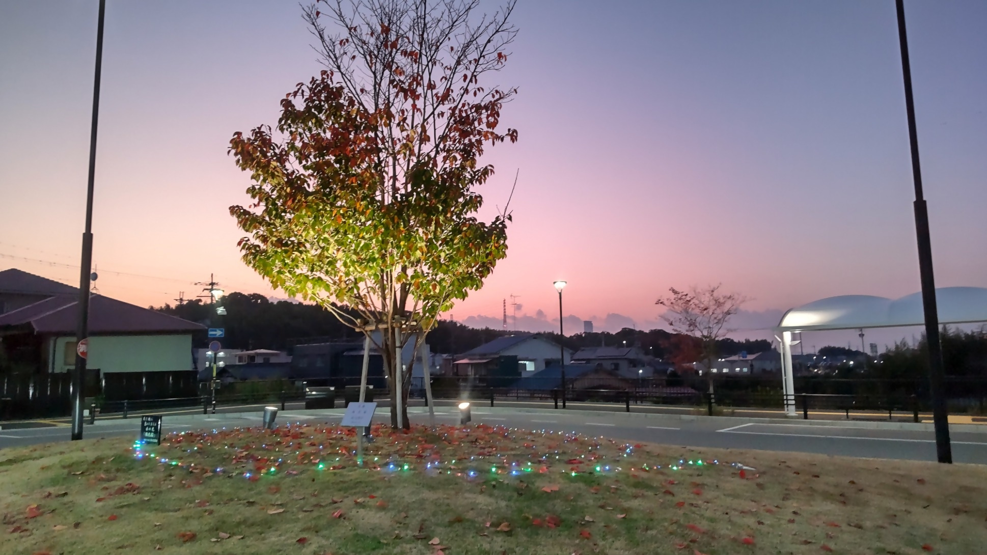 熊取駅西側イルミネーション風景