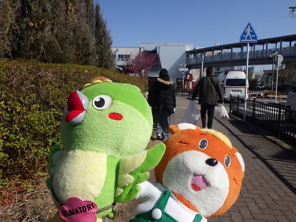 クリーンプロジェクトの様子