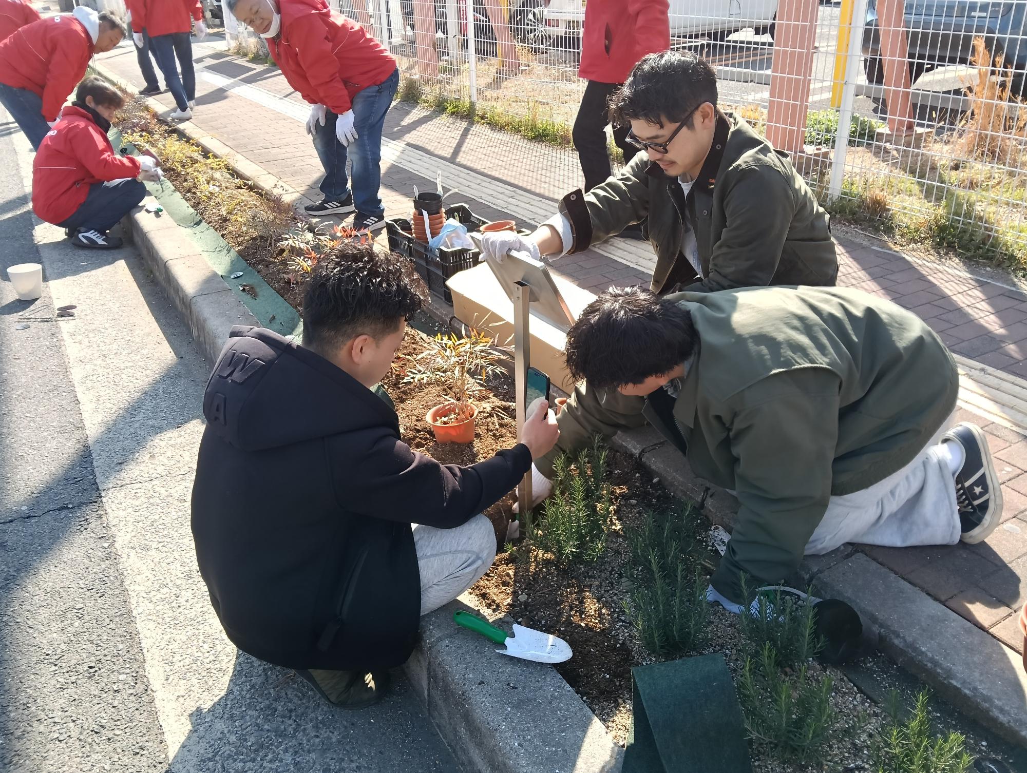 大久保区が熊取駅前線で植樹している風景