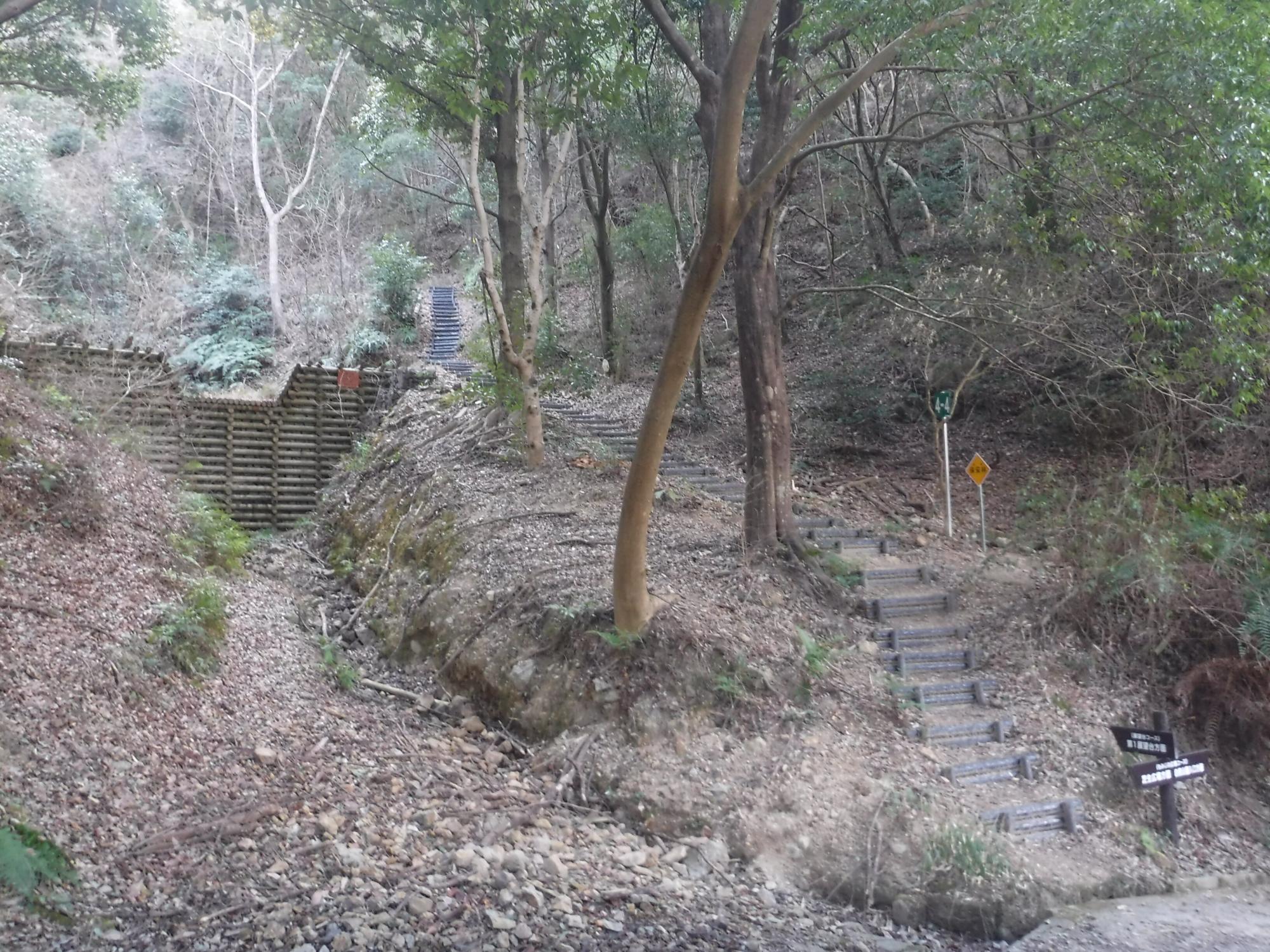奥山雨山自然公園