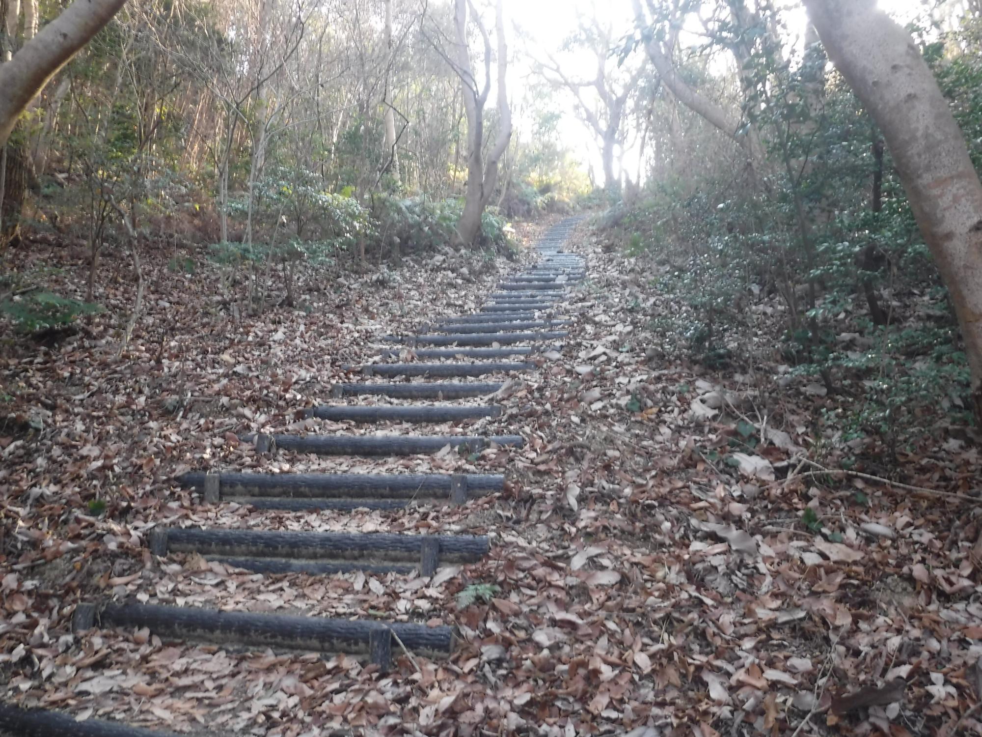 奥山雨山自然公園