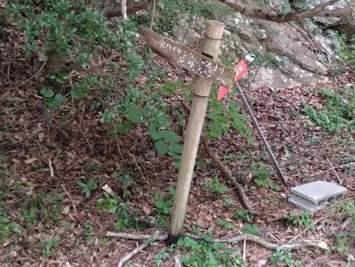 奥山雨山自然公園