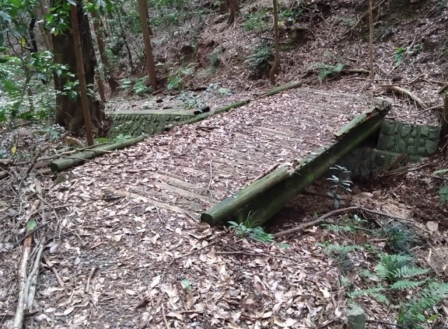 奥山雨山自然公園