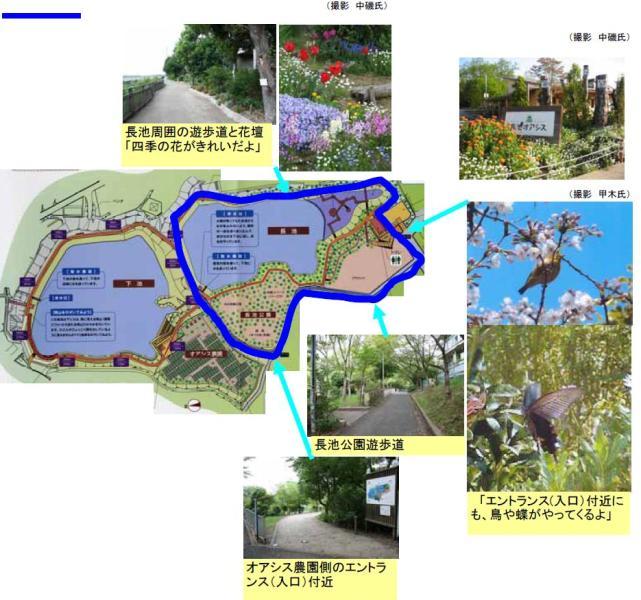 長池公園コースの地図