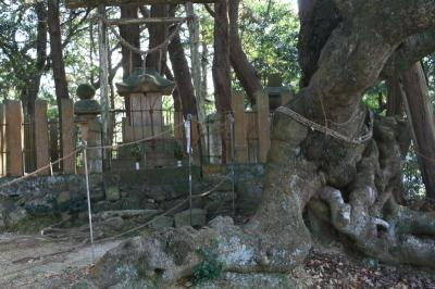 手前の右側に大きな木の根元、奥には石で出来た灯籠や沢山の木が写っている写真