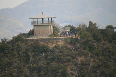 山の頂上に階段のある展望台が写っている写真