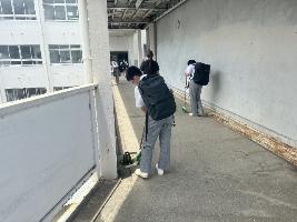 清掃活動する生徒たちです