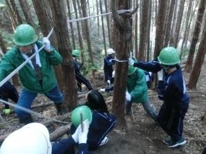 林の中の斜面に生えている木に巻き付けたロープを、大人の男性が引っ張って作業を行っている様子を生徒たちが近くで見守っている写真