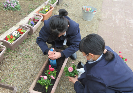 2人の女の子が花壇に花を植えています