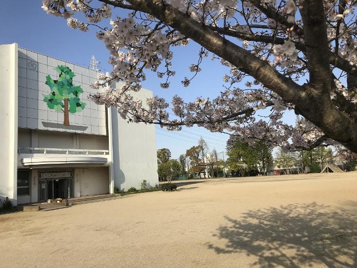 右側に満開の桜の木、左側に緑が綺麗な大きな木の絵が壁に描かれている西小学校校舎の外観写真