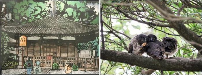 瓦の屋根と木で造られたお堂が描かれた作品と3匹の鳥が木の枝に止まっている写真の2つの作品