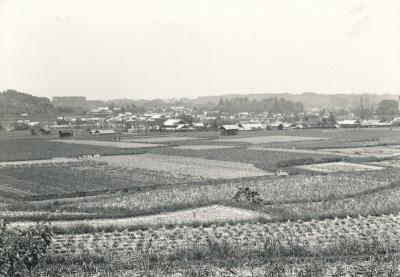 昭和初期に撮影された、手前に畑、奥にたくさんの集落が並んでいる白黒写真