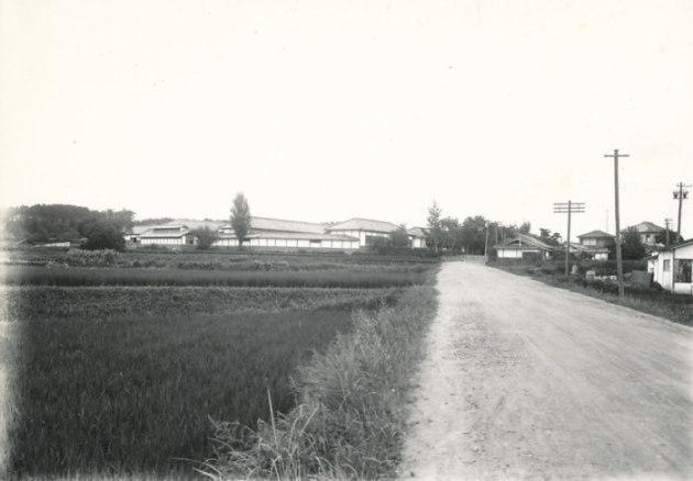 畑の横にある学校への通学路と熊取尋常高等小学校の白黒写真