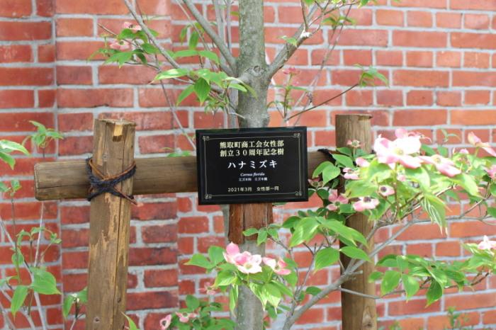 「熊取町商工会女性部創立30周年記念樹ハナミズキ」と書かれた札とピンクと白の花びらのハナミズキの花の写真