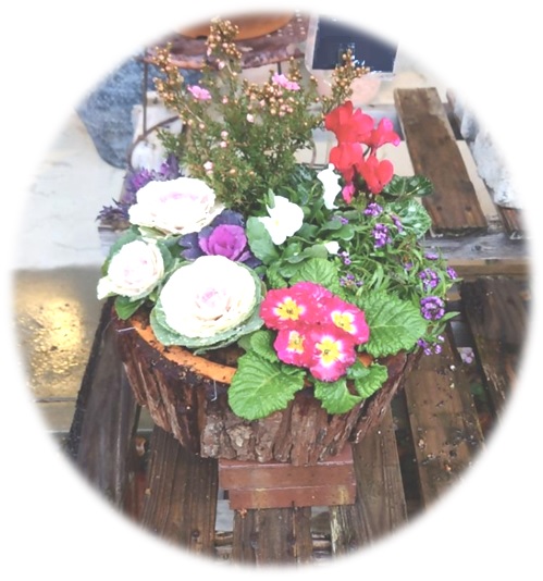 素敵な寄せ植え講座 作品イメージ