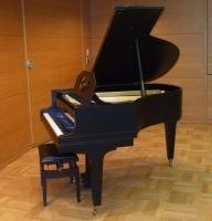 グランドピアノのグロトリアンシュタインヴェッヒを横から撮影した写真