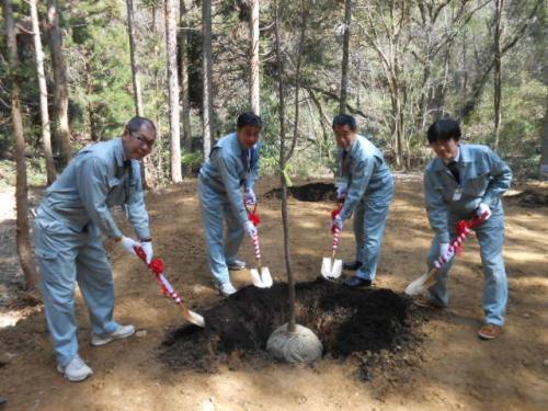 紅白のリボンがついた金スコップを持って、植樹をするヤマザクラに土をかぶせようとしている作業着を着た男性4名の写真